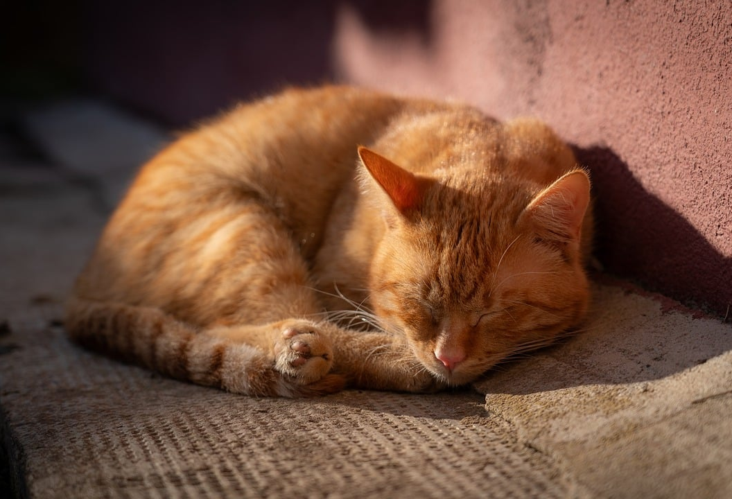 주간 브리핑 이미지